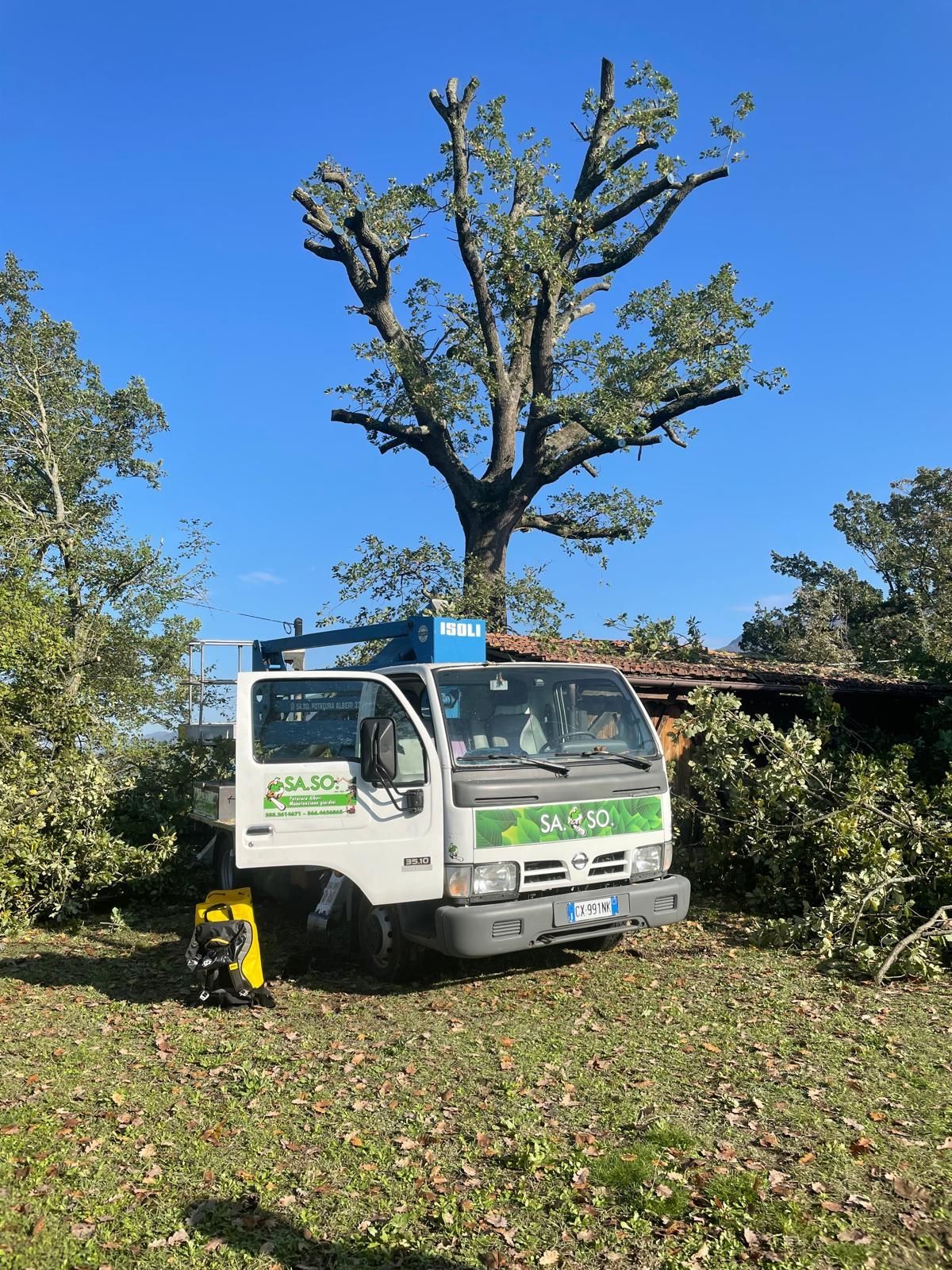 abbattimento alberi
