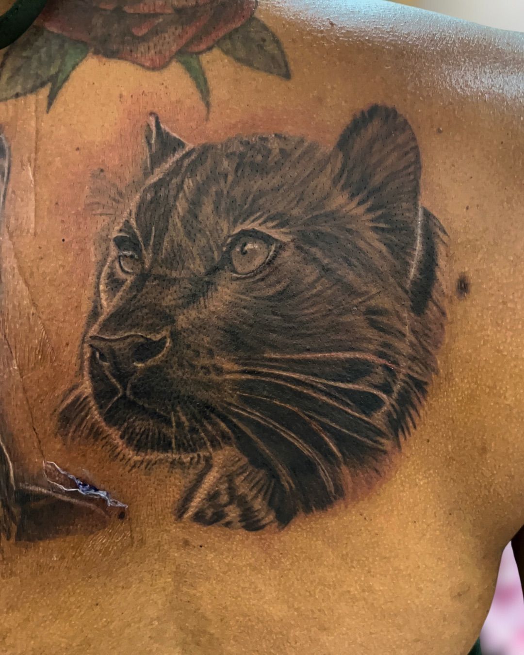 Black panther tattoo on a chest, detailed with shading, looking left with focused eyes.