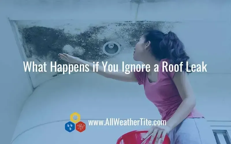 Woman points to mold on a ceiling, emphasizing the dangers of ignoring roof leaks.