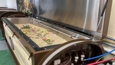 Hydroponic grow tray with seedlings and pink flowers under a lifted lid in a metal enclosure