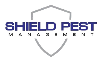 Shield Pest Management, Pest control service, Pest Control Near Me, Pest Control Company, Pest Control Company Near Me, Local Pest Control, Best Pest Control Service, Pet Safe Pest Services, Kid Safe Pest Services, Emergency Pest Control, Emergency Pest Control Near Me, Integrated Pest Management, Home Pest Control Service, General Pest Inspection, Residential Pest Control, Commercial Pest Control, Hotel Pest Control, Restaurant Pest Control, Office Pest Control, Ant Extermination, Ant Pest Control, Bed Bug Extermination, Bed Bug Pest Control, Bee Extermination, Bee Pest Control, Carpet Beetle Extermination, Carpet Beetle Pest Control, Cockroach Extermination, Cockroach Pest Control, Cricket Extermination, Cricket Pest Control, Flea & Mite Extermination, Flea & Mite Pest Control, Hornet & Wasp Extermination, Hornet & wasp Pest Control, Mosquito Extermination, Mosquito Pest Control, Rodent Extermination, Rodent Pest Control, Rat Extermination, Rat pest Control, Silverfish Extermination, Silverfish Pest Control, Spider Extermination, Spider Pest Control, Pico Rivera CA, Whittier CA, Montebello CA, Downey CA, Santa Fe Springs CA, Norwalk CA, Monterey Park CA, Commerce CA, Bell Gardens CA, Bellflower CA, Paramount CA, Lakewood CA, Cerritos CA, City of industry CA, El Monte CA, Baldwin Park CA, West Covina CA, Rosemead CA, Monrovia CA, Azusa CA, Alhambra CA