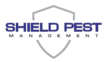 Shield Pest Management, Pest control service, Pest Control Near Me, Pest Control Company, Pest Control Company Near Me, Local Pest Control, Best Pest Control Service, Pet Safe Pest Services, Kid Safe Pest Services, Emergency Pest Control, Emergency Pest Control Near Me, Integrated Pest Management, Home Pest Control Service, General Pest Inspection, Residential Pest Control, Commercial Pest Control, Hotel Pest Control, Restaurant Pest Control, Office Pest Control, Ant Extermination, Ant Pest Control, Bed Bug Extermination, Bed Bug Pest Control, Bee Extermination, Bee Pest Control, Carpet Beetle Extermination, Carpet Beetle Pest Control, Cockroach Extermination, Cockroach Pest Control, Cricket Extermination, Cricket Pest Control, Flea & Mite Extermination, Flea & Mite Pest Control, Hornet & Wasp Extermination, Hornet & wasp Pest Control, Mosquito Extermination, Mosquito Pest Control, Rodent Extermination, Rodent Pest Control, Rat Extermination, Rat pest Control, Silverfish Extermination, Silverfish Pest Control, Spider Extermination, Spider Pest Control, Pico Rivera CA, Whittier CA, Montebello CA, Downey CA, Santa Fe Springs CA, Norwalk CA, Monterey Park CA, Commerce CA, Bell Gardens CA, Bellflower CA, Paramount CA, Lakewood CA, Cerritos CA, City of industry CA, El Monte CA, Baldwin Park CA, West Covina CA, Rosemead CA, Monrovia CA, Azusa CA, Alhambra CA