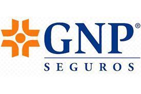 GNP