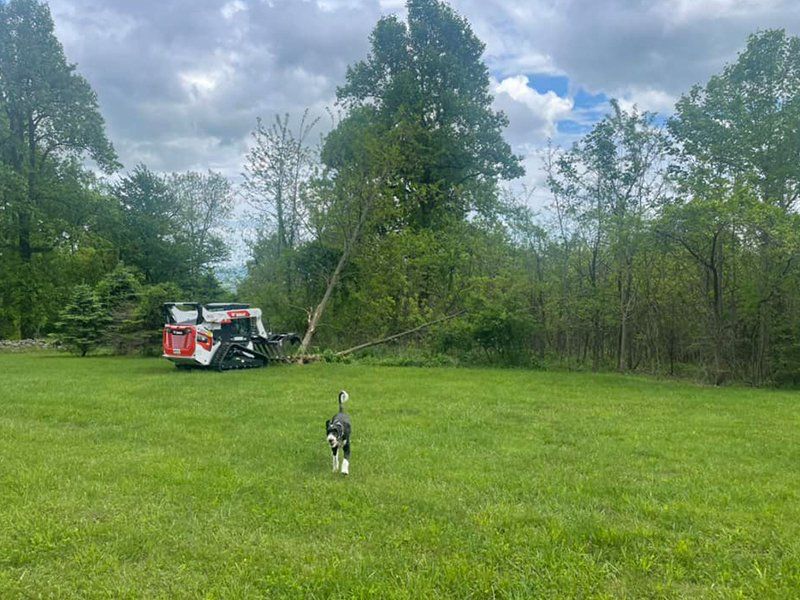junk removal, cleanouts, dumpster rentals, land clearing, demolition, winchester, northern va, iron bull hauling
