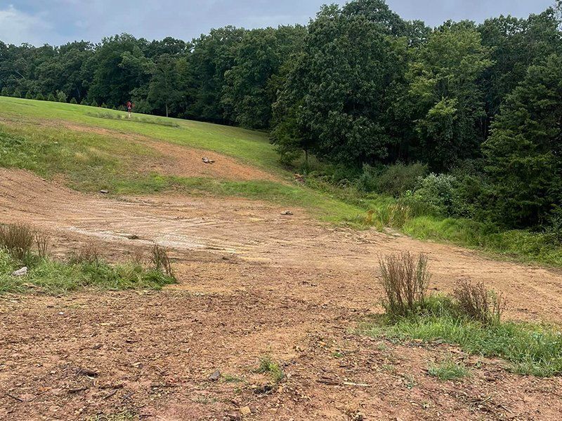 junk removal, cleanouts, dumpster rentals, land clearing, demolition, winchester, northern va, iron bull hauling