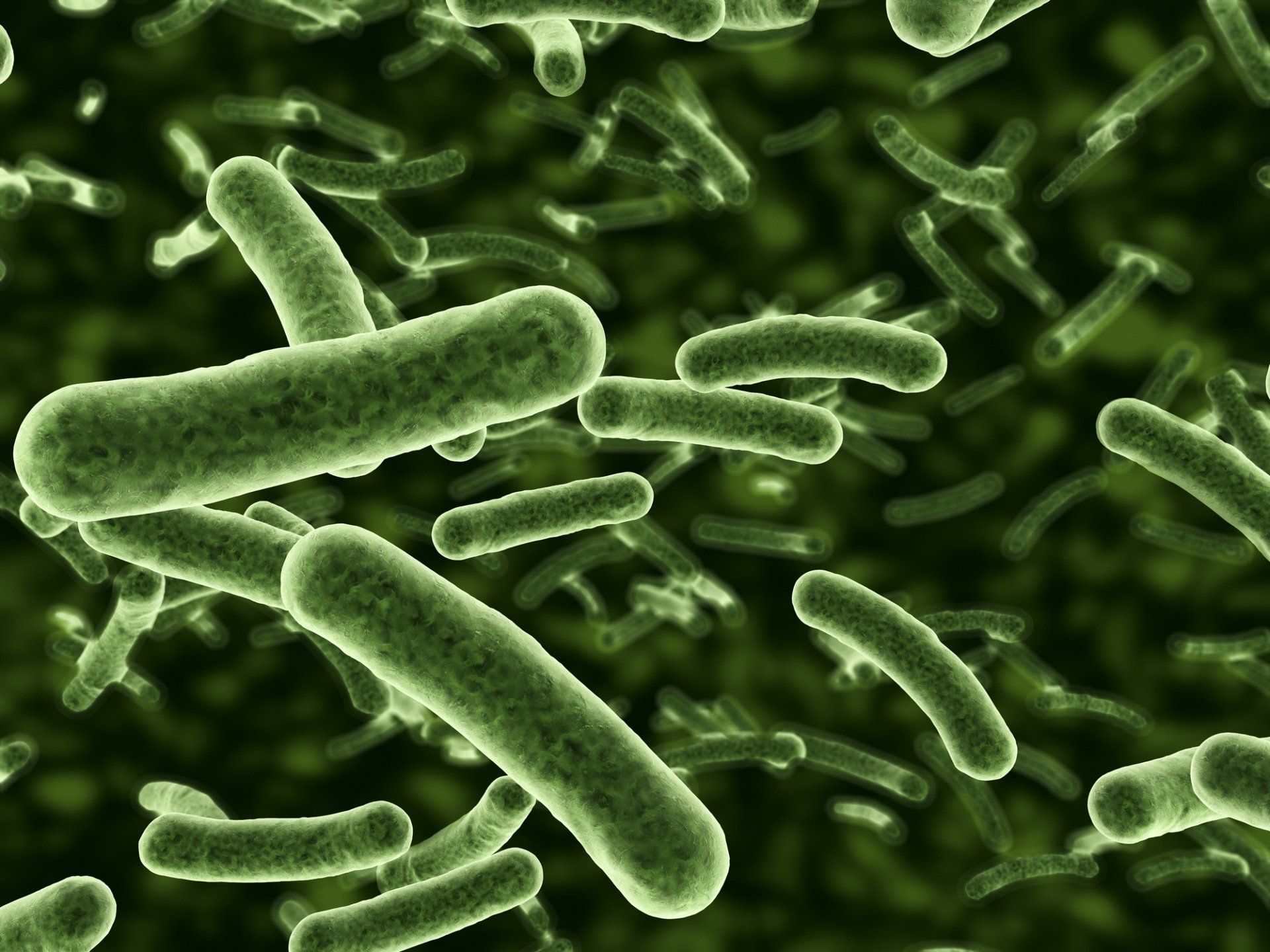 Bacteria and Viruses — Muncie, IN — Oxley Softwater Co. Green rod-shaped bacteria on a dark green background, likely a microscopic view of a bacterial culture.