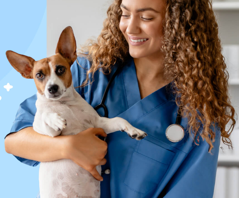 Vetsource On-line Pharmacy- Home Delivery