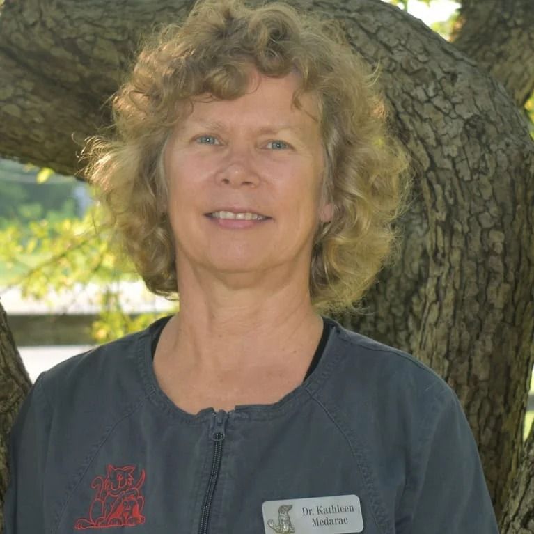 Kathleen Medarac