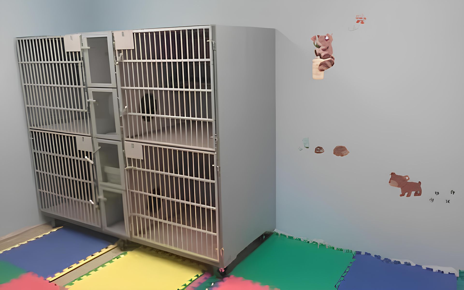 cat's boarding room with colorful mat on the floor