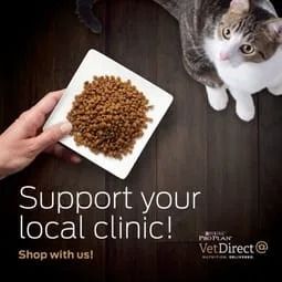 a person is holding a plate of cat food next to a cat