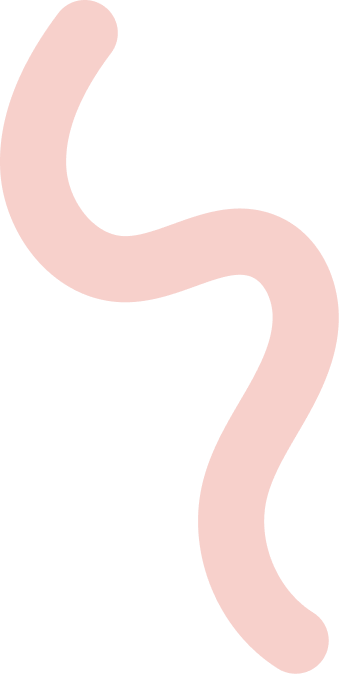 Abstract pale pink wavy line on a white background