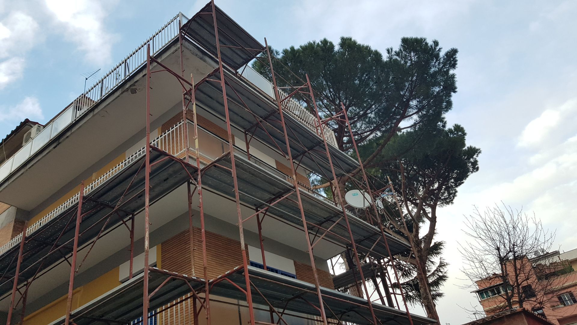 Edificio a più piani in costruzione con impalcature rosse e un grande albero accanto.