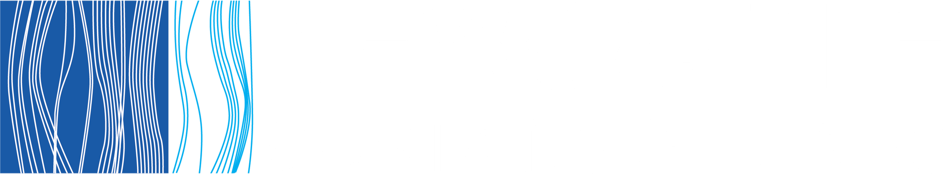 Blinds & Curtains in Newcastle