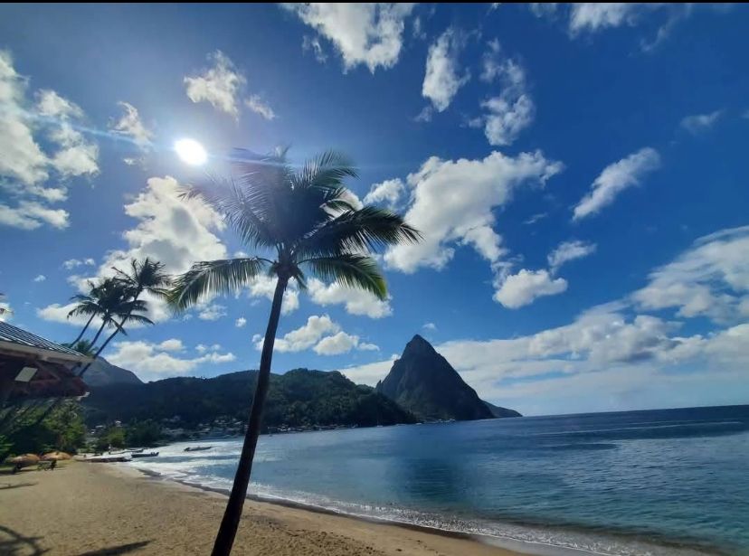 CHIC Main Page Banner