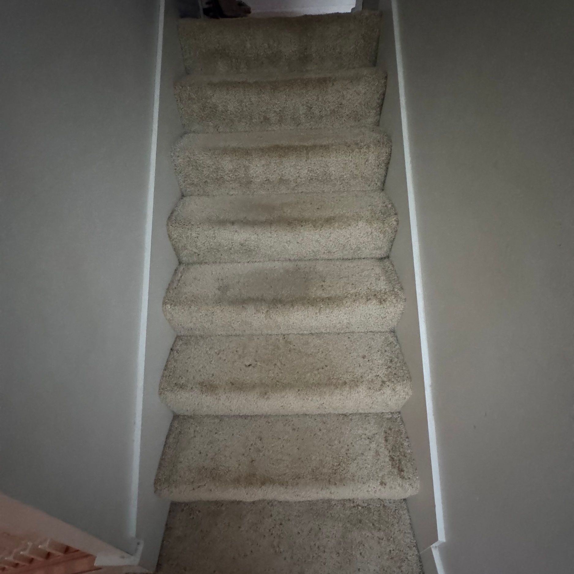 Carpeted staircase with white walls.