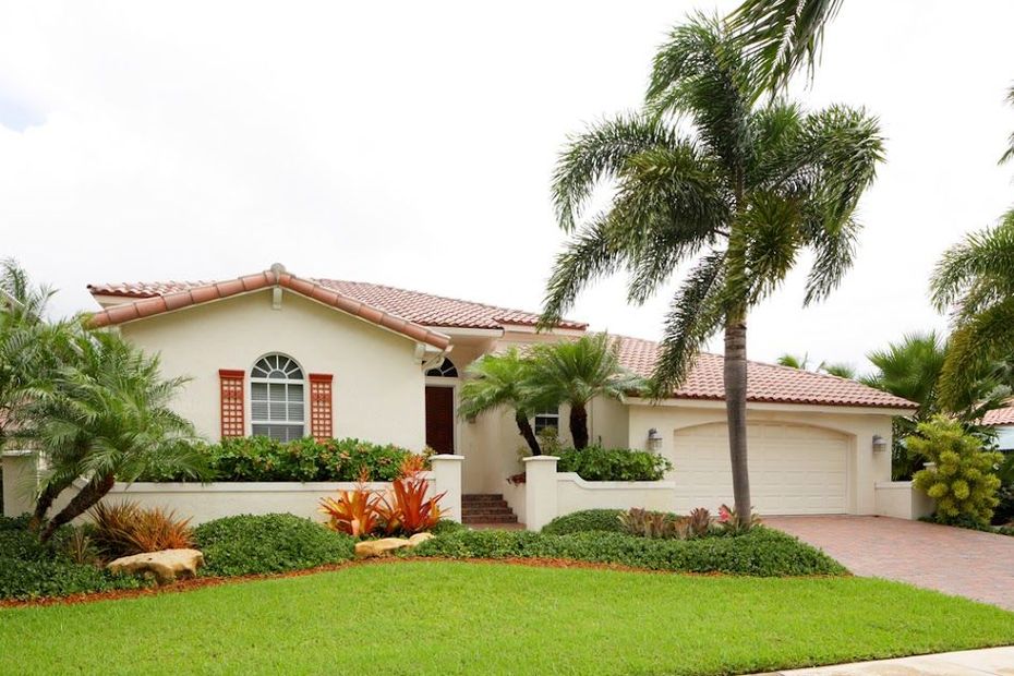 A white house with a palm tree in front of it