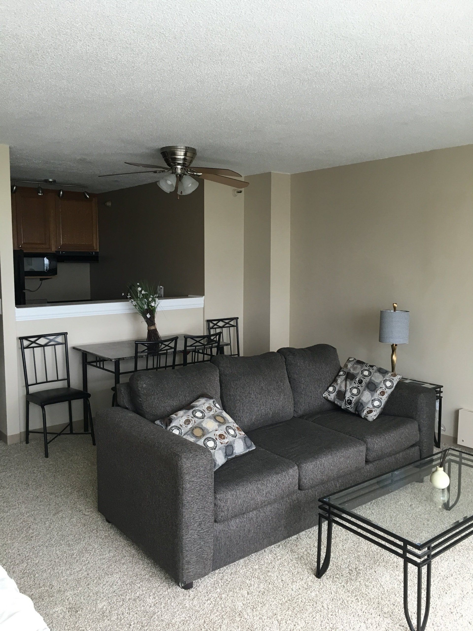 Interior view of living room example with light gray carpet, grey couch, glass coffee table, dining table, and two dining chairs.