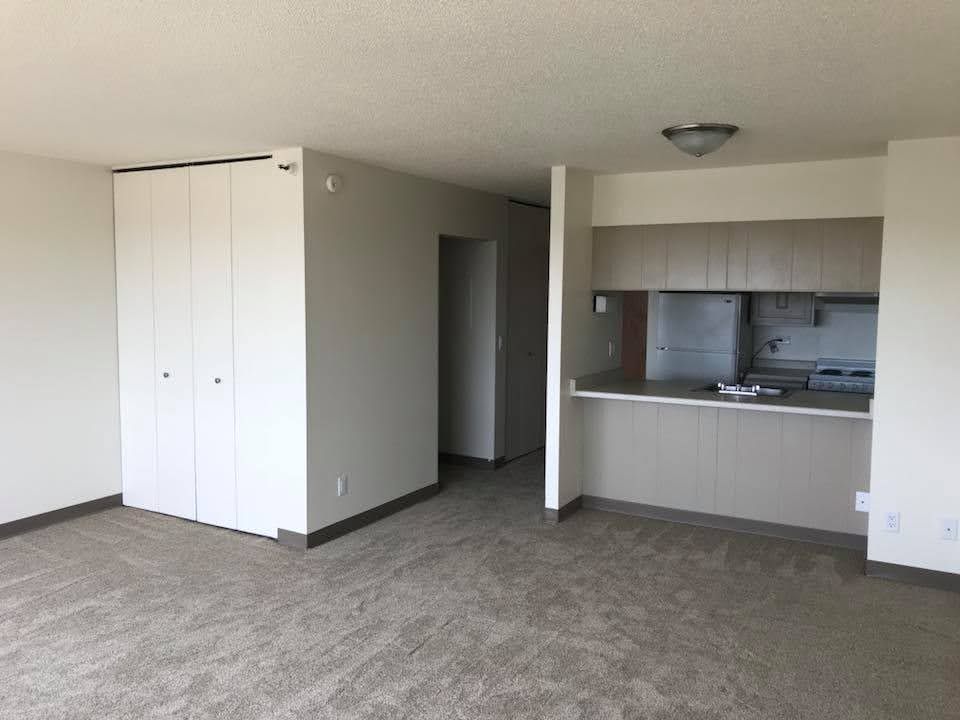 Interior view of empty apartment with light grey carpet, living area and kitchen adjacent to each other.