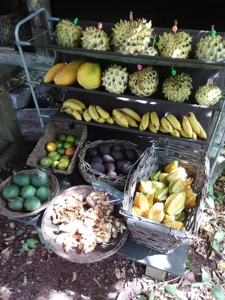  Fruit Stand in Pahoa, HI