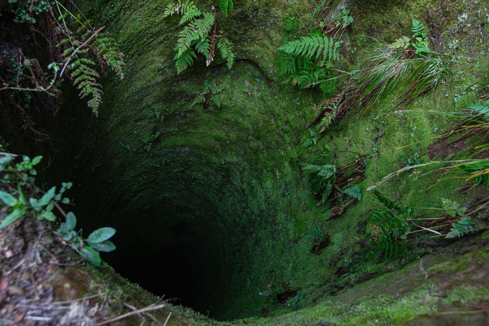 Abandoned water well with moss-covered stone walls in a wooded area. Abandoned water well with moss-covered stone walls in a wooded area.