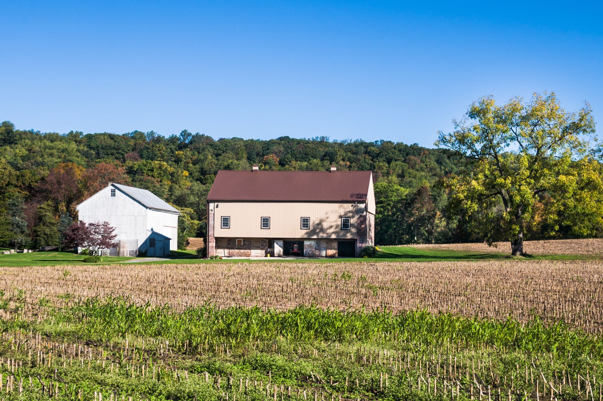 we buy houses in as is condition Lancaster