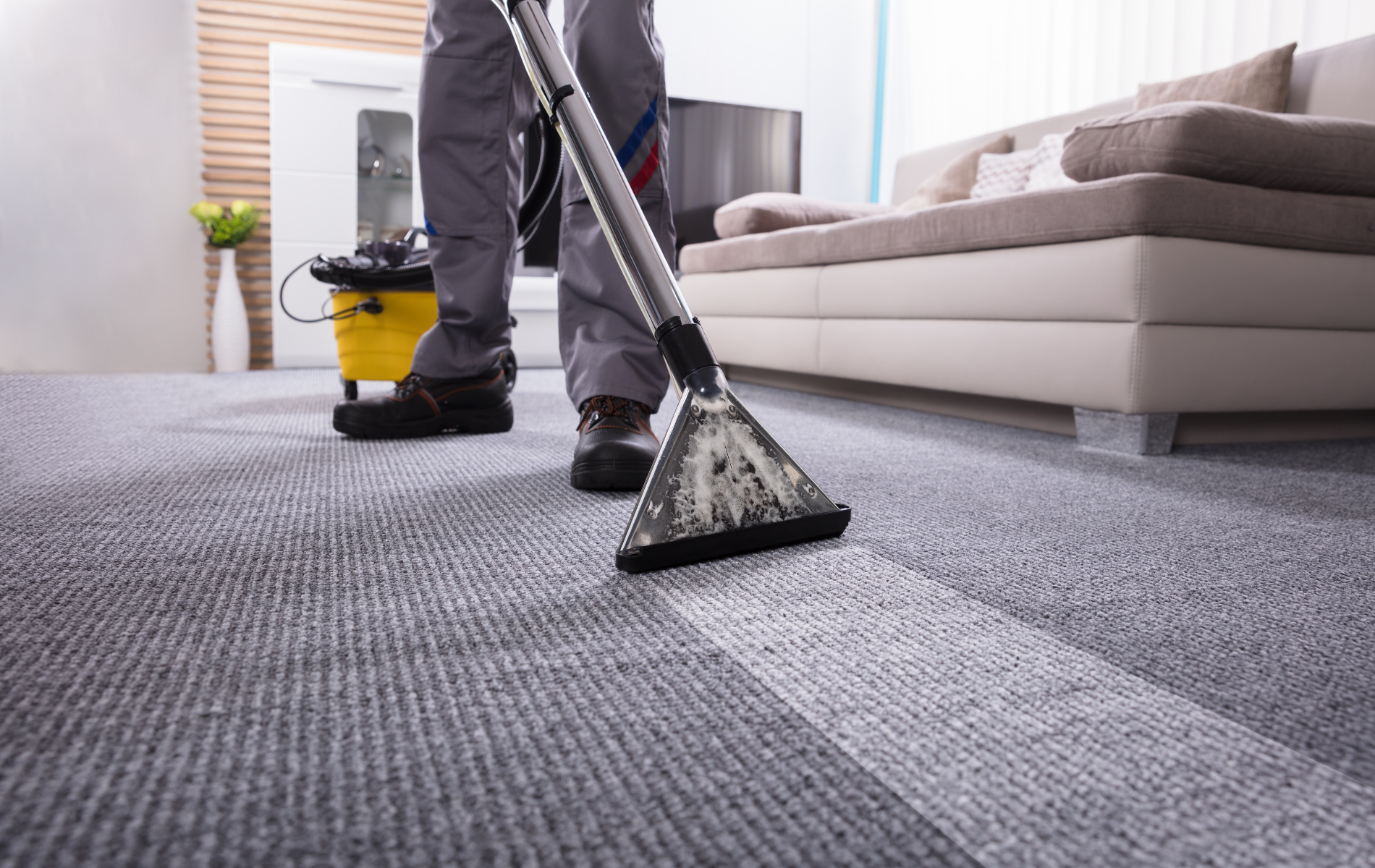 best carpet cleaners edmonton alberta