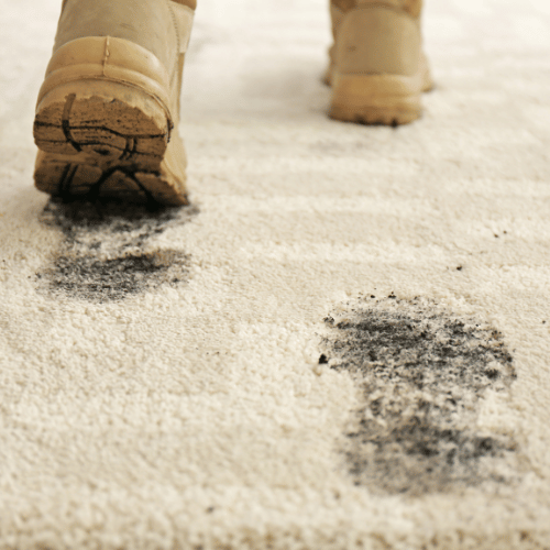 cheap carpet cleaning services in Edmonton, AB