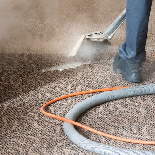 cheap carpet cleaners near me