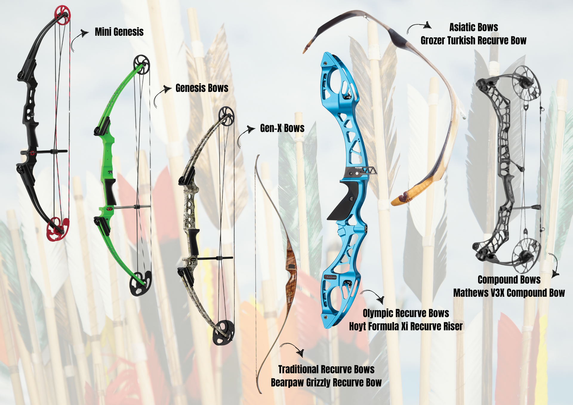 Different types of bows including compound, recurve, and traditional, displayed with arrows, in a pale background.