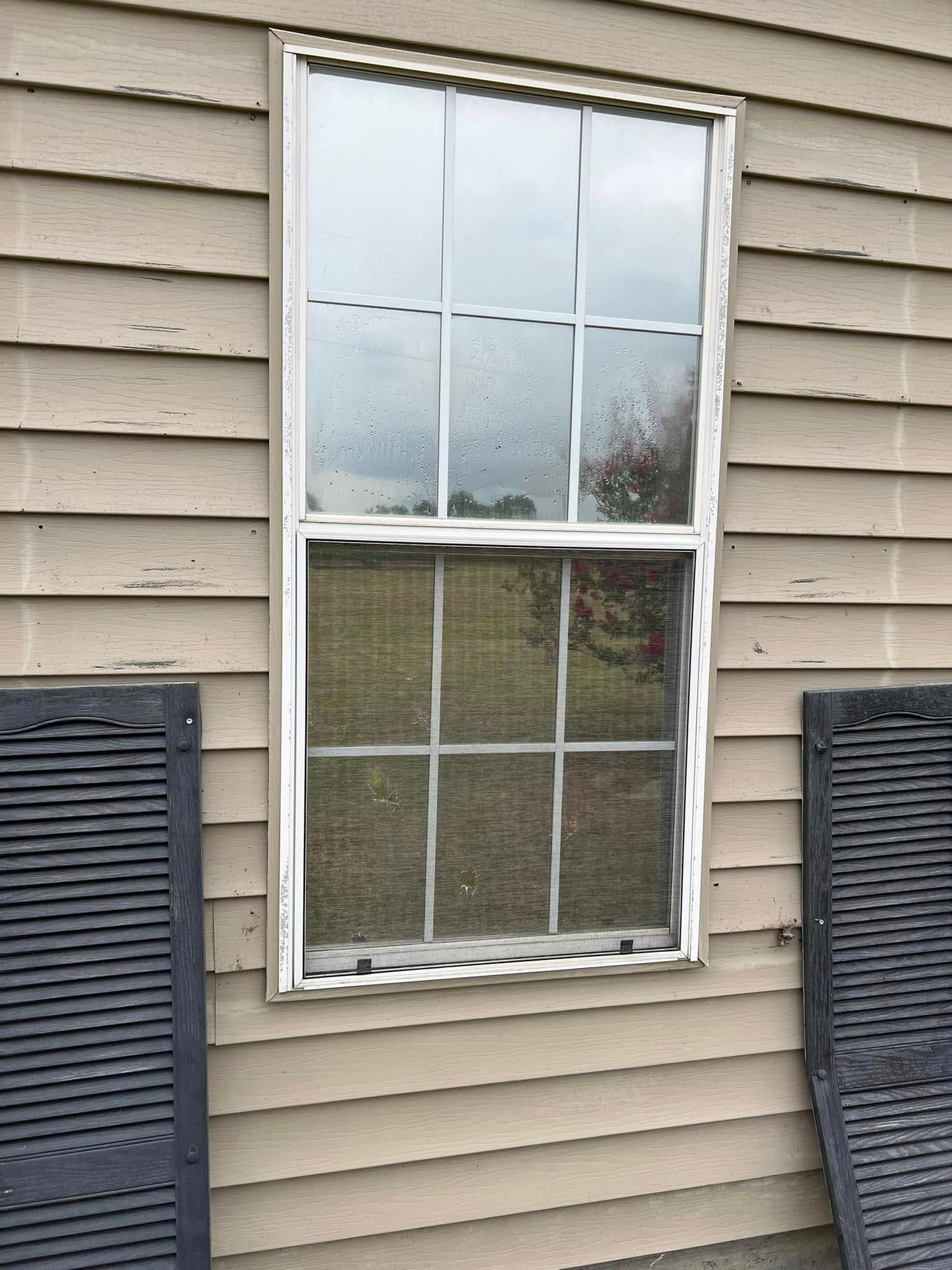 White-framed window with divided panes on beige siding, flanked by dark shutters.