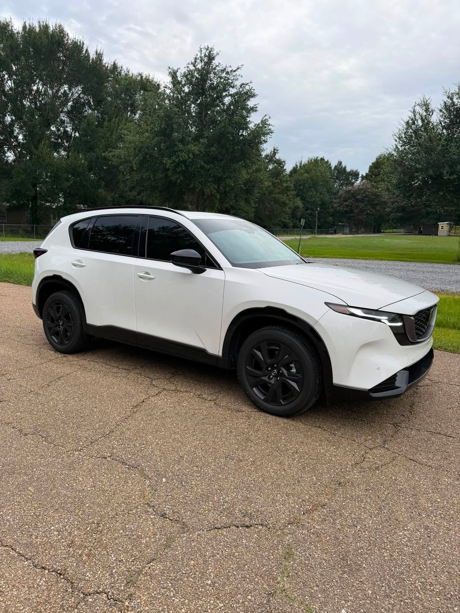 White SUV with black wheels parked on a gravel lot beside trees under a cloudy sky