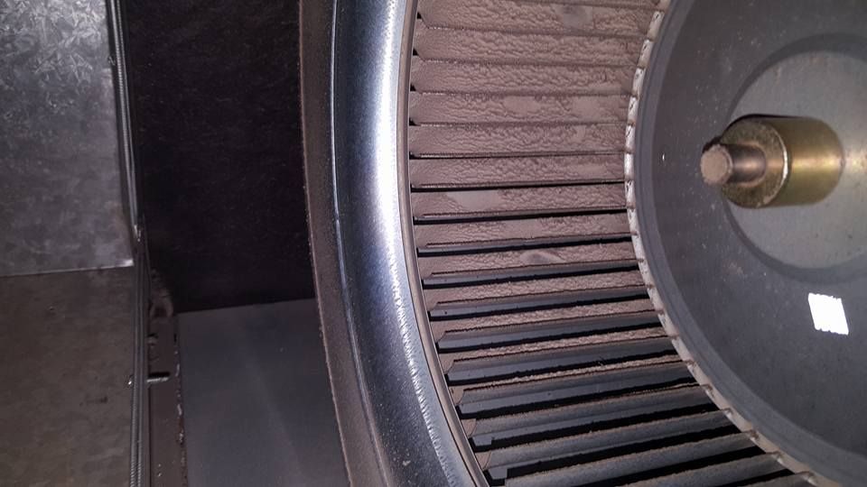 A dirty, dust-covered HVAC blower fan wheel inside a metal housing.