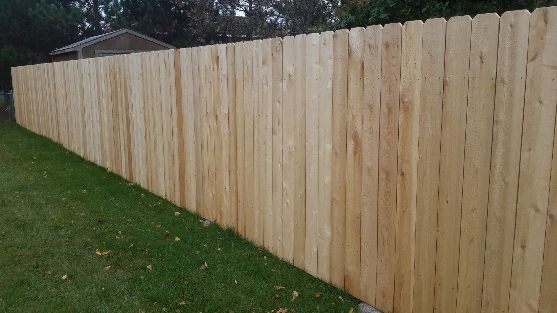 Wooden privacy fence along a grassy yard beside trees