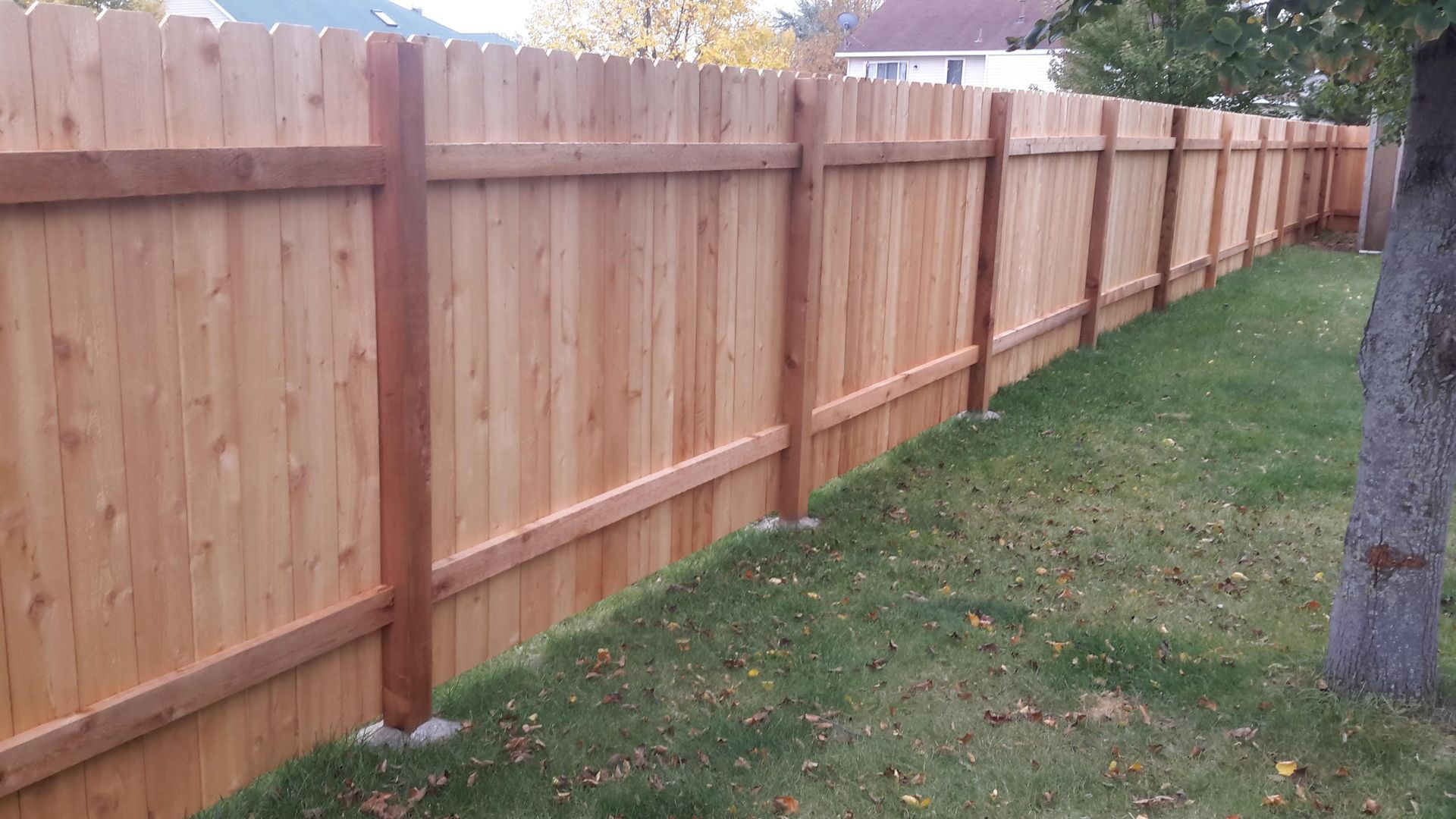 New wooden privacy fence along a grassy yard with a tree in the foreground