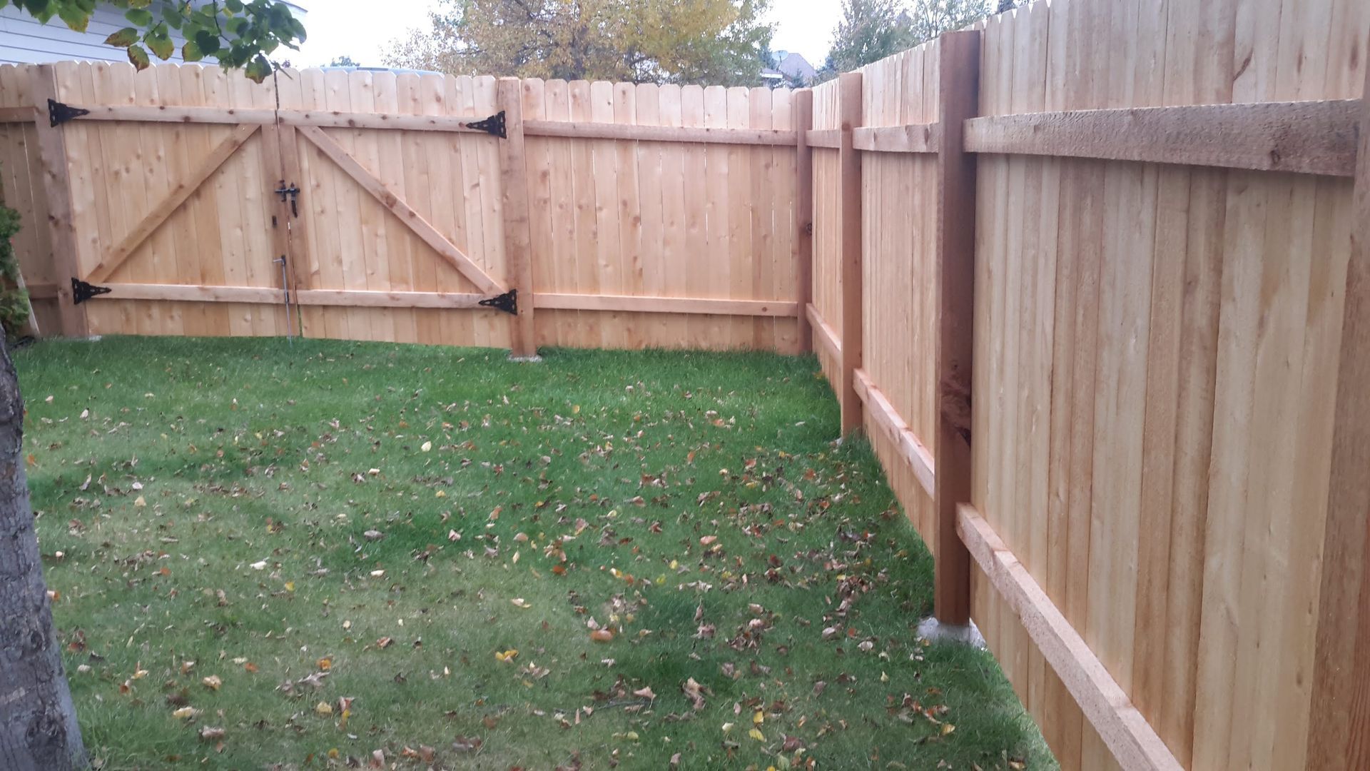 Backyard with a grassy lawn enclosed by a wooden privacy fence and gate.