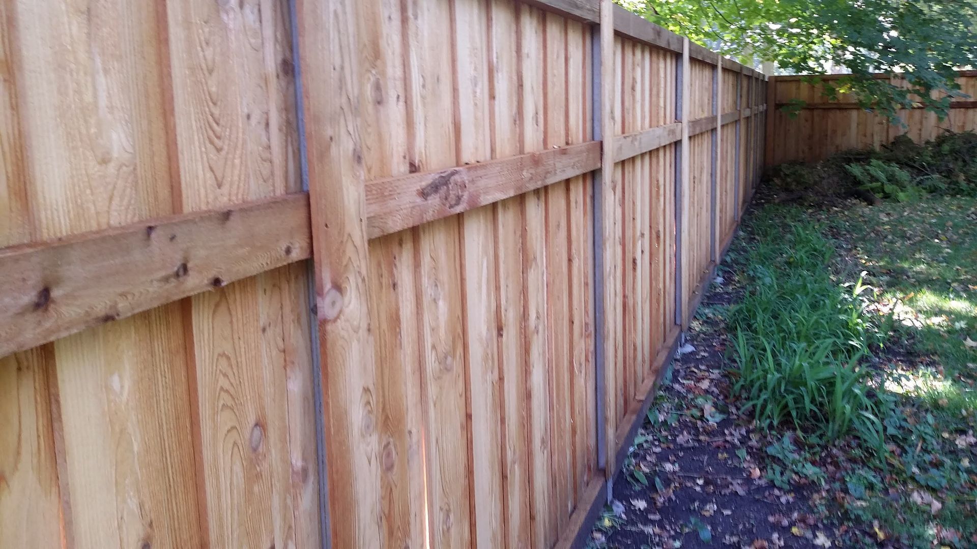 Wooden fence along a narrow grassy side yard with trees and leaf litter.