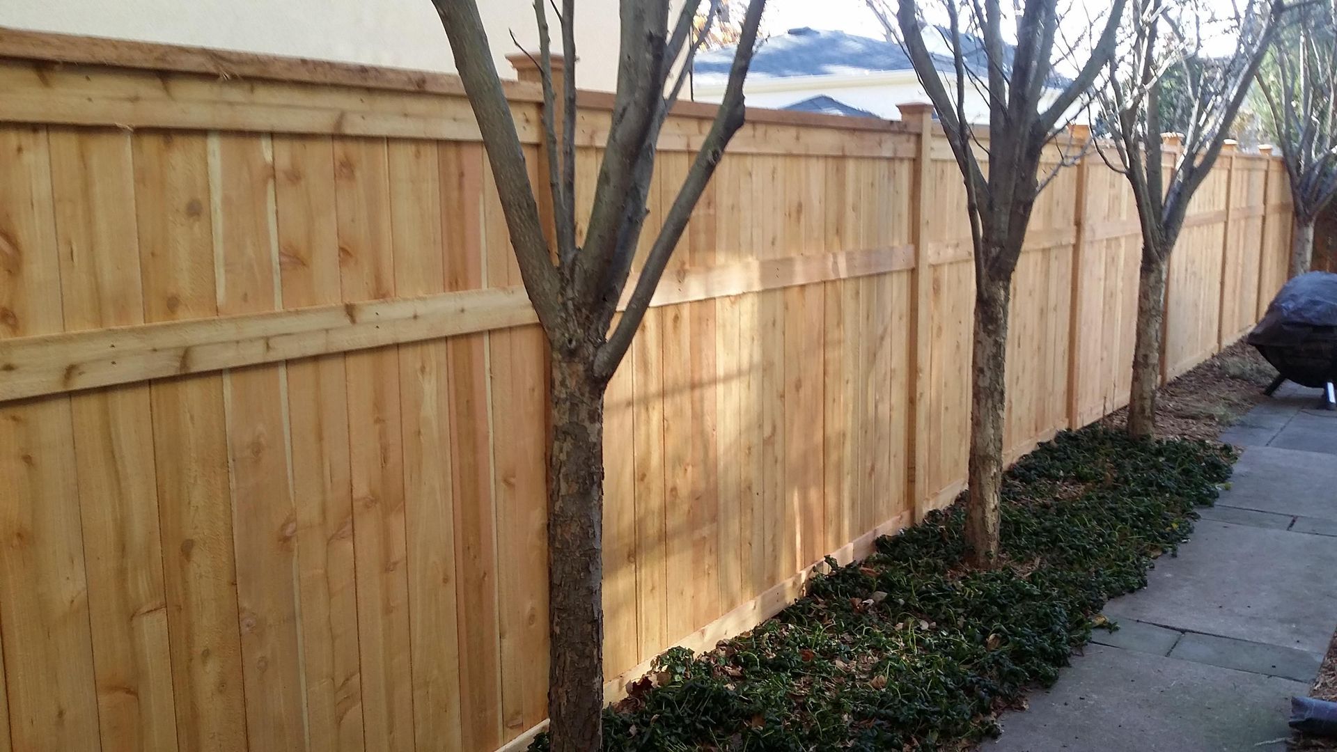 Wooden privacy fence along a sidewalk with leafless trees and parked cars in the distance