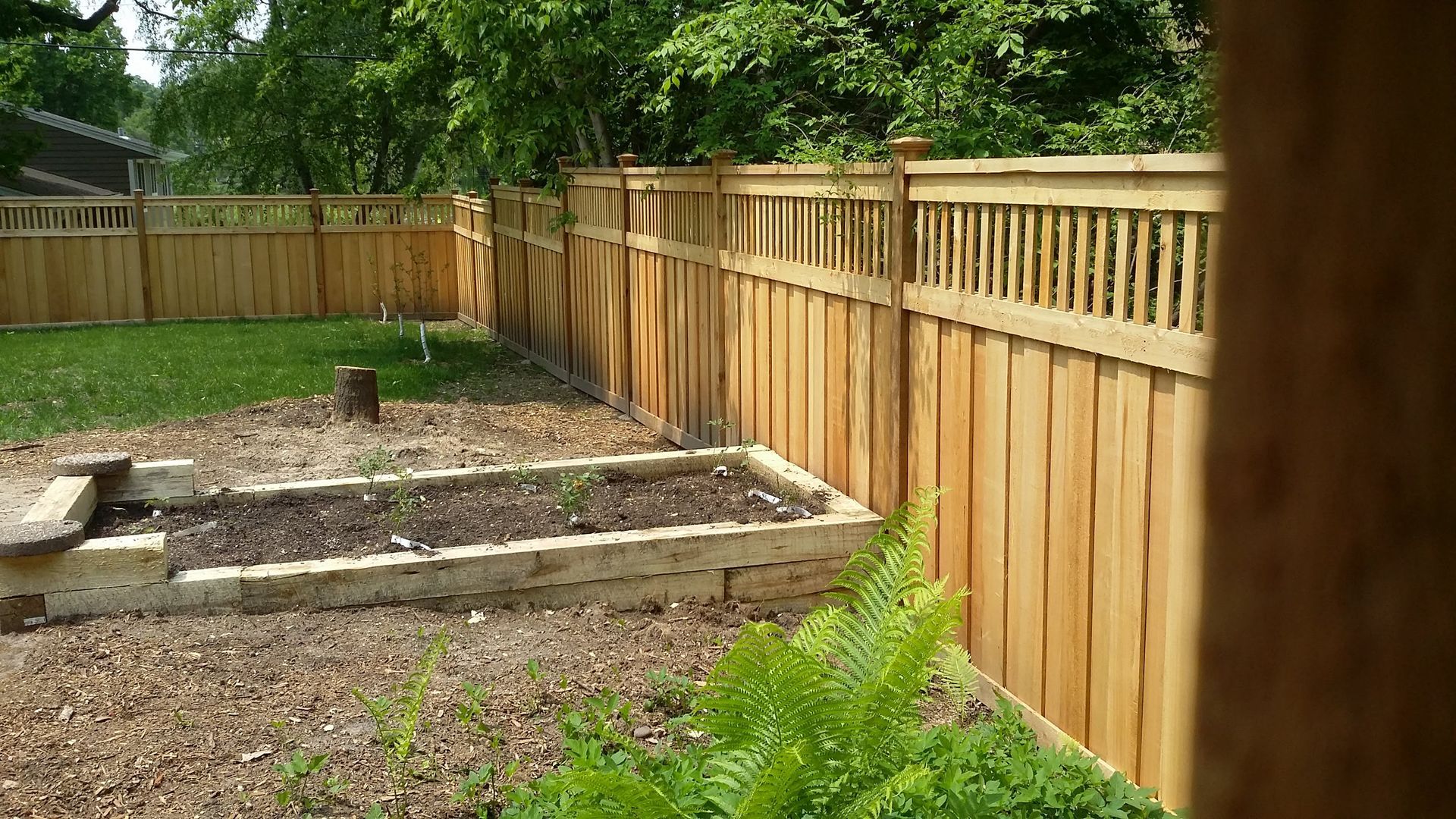 Backyard garden bed beside a wooden fence, with green shrubs and trees.