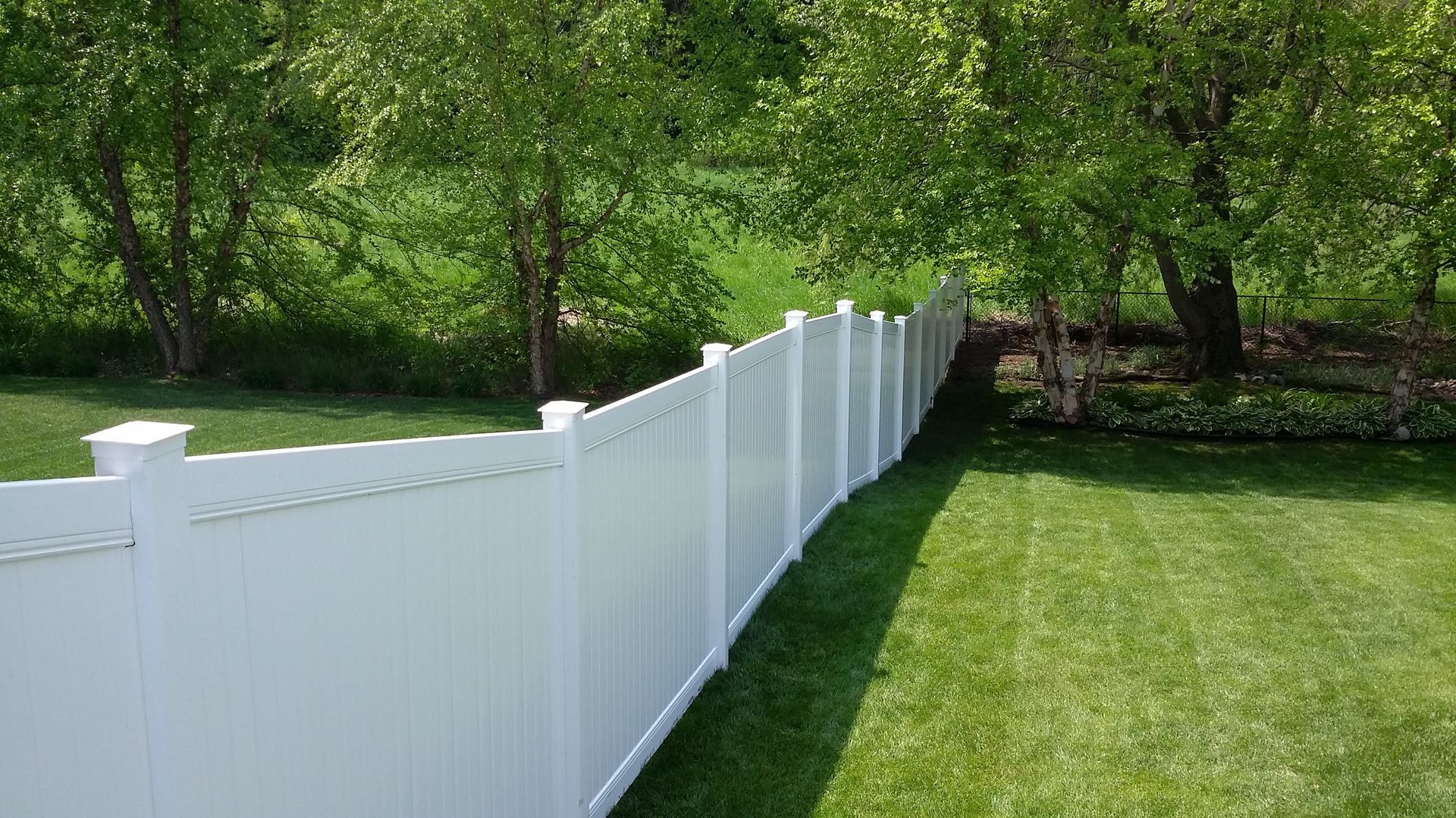 White vinyl fence bordering a green lawn beside leafy trees in a sunny yard
