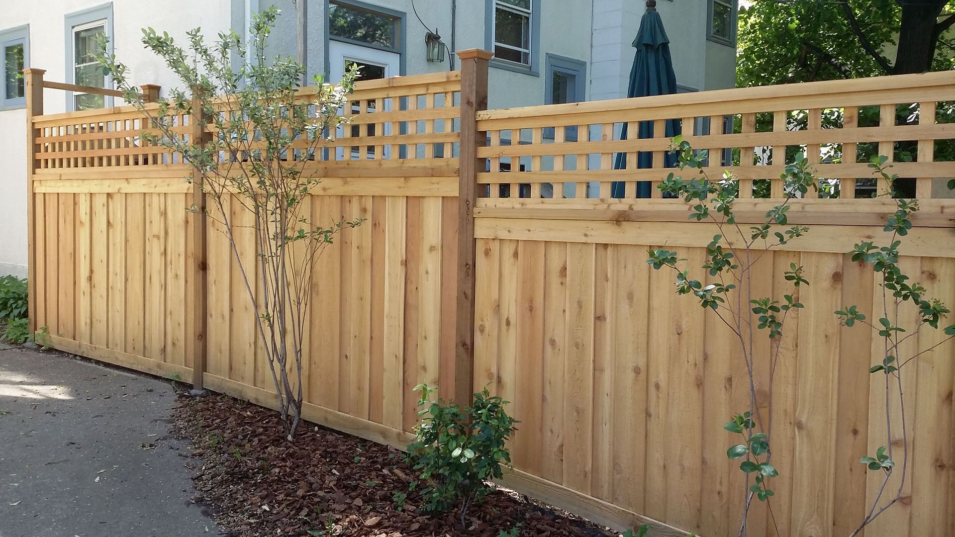 Wooden privacy fence with lattice top along a residential sidewalk, with climbing vines and trees behind it
