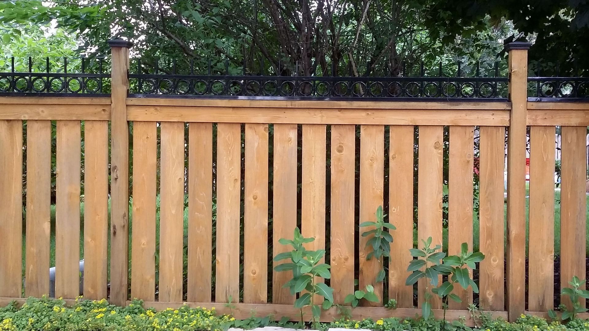 Wooden backyard fence with vertical slats and green shrubs at the base, trees visible above.