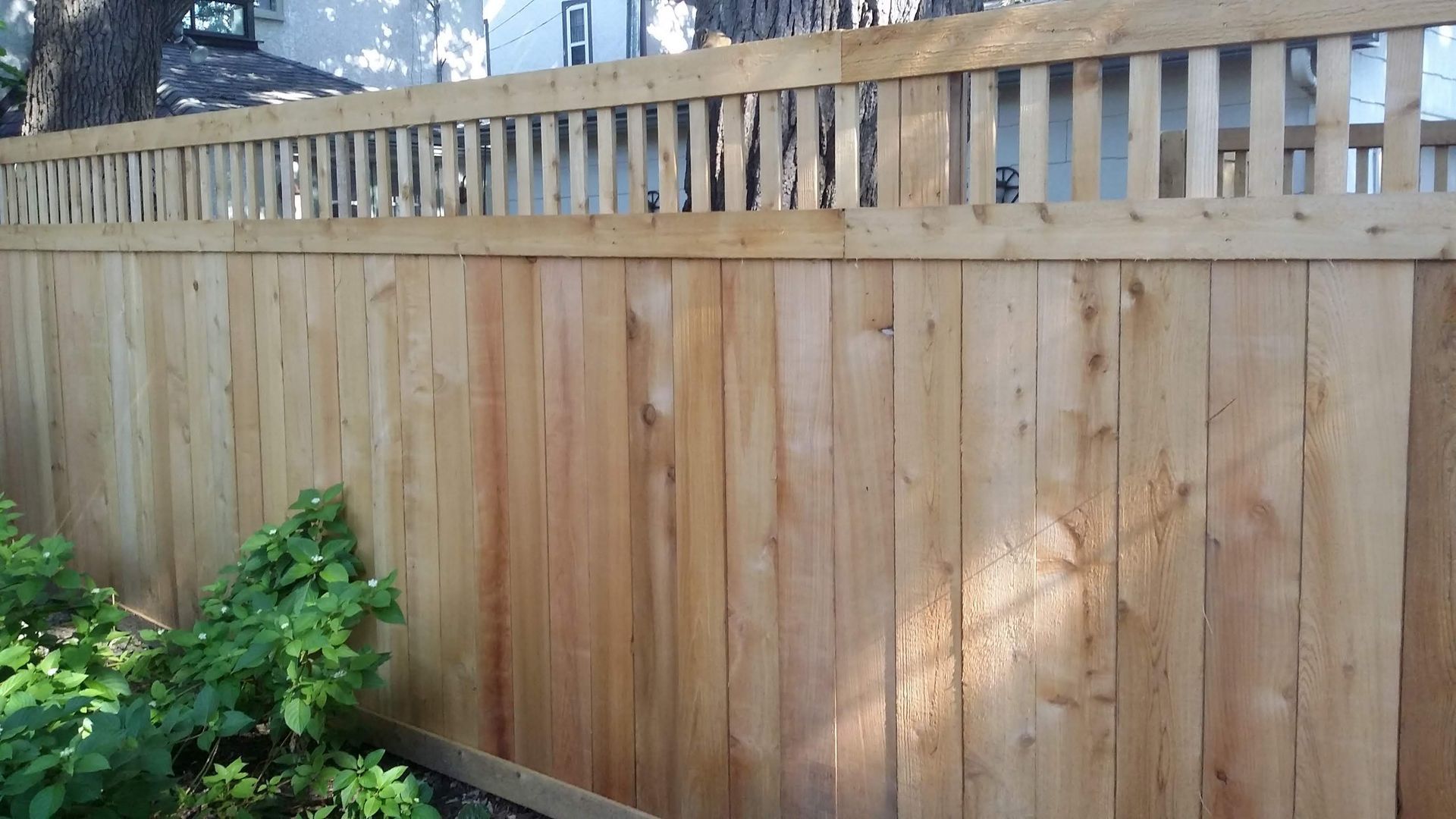 Wooden backyard fence with lattice top beside green shrubs in daylight