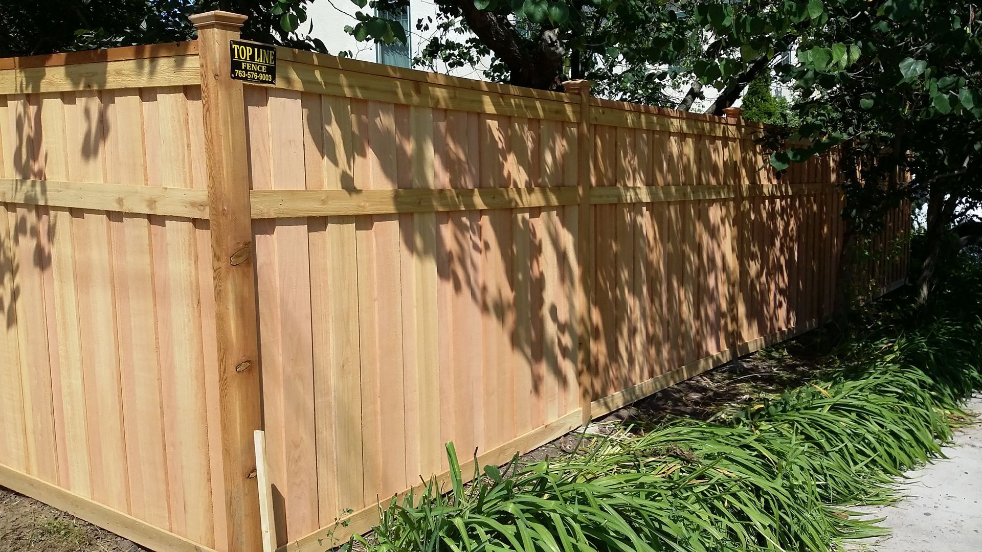 Wooden privacy fence along a sidewalk, with green plants at the base and trees overhead.