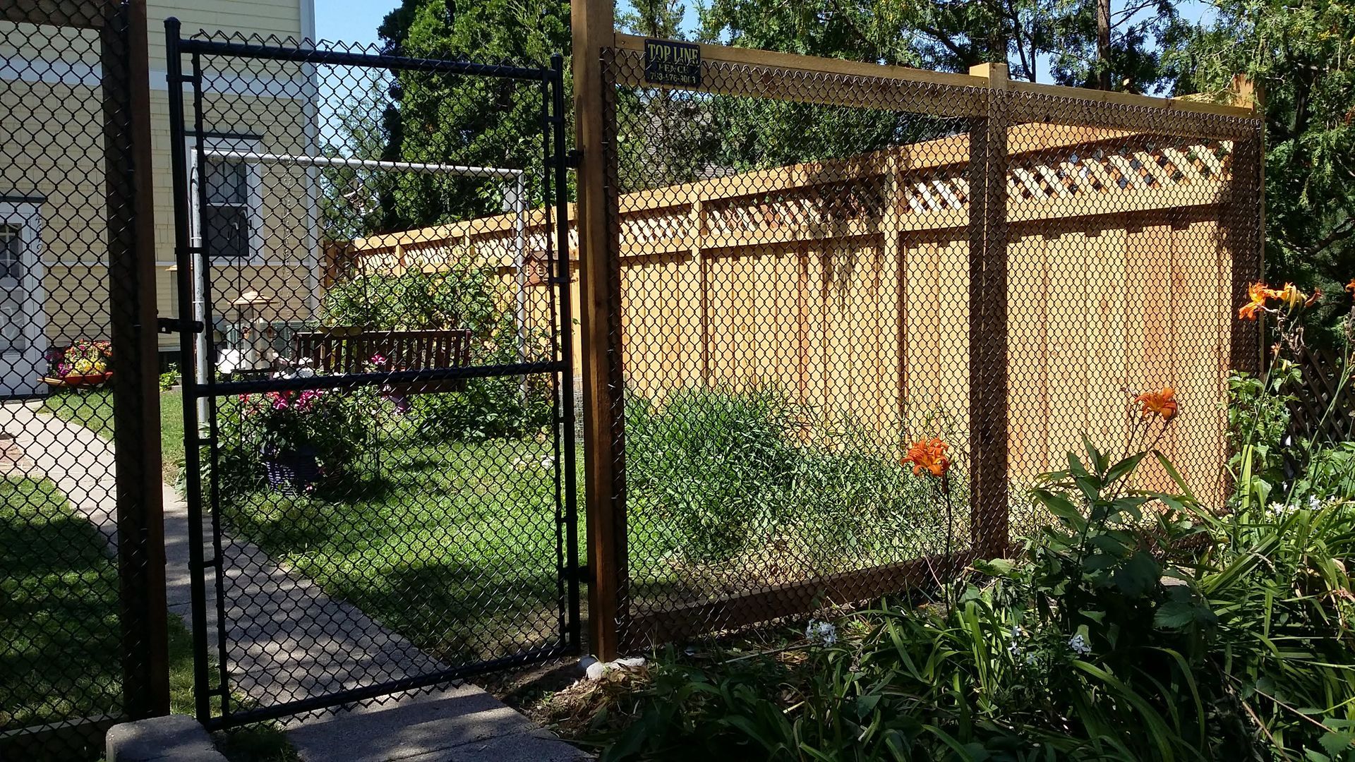 Chain-link fence beside a wooden privacy fence, enclosing a grassy yard with plants and orange flowers.