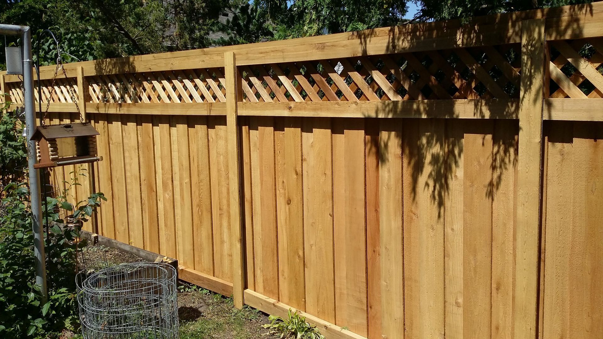 Wooden privacy fence with lattice top in a sunny backyard, bordered by plants and trees
