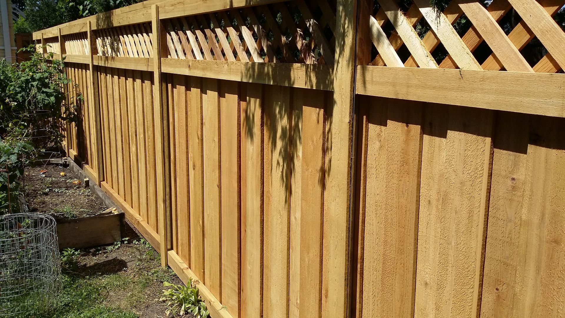 Wooden privacy fence with lattice top in a sunny backyard garden