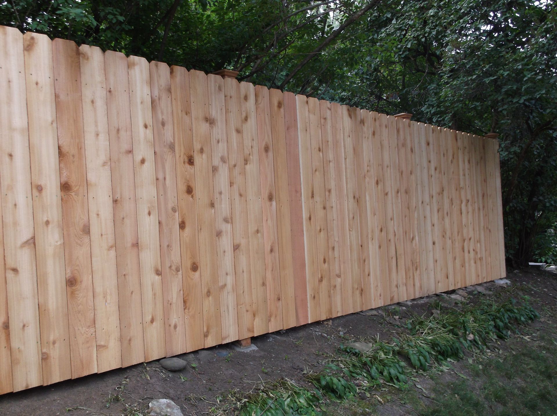Tall wooden privacy fence along a dirt path beside trees and greenery.