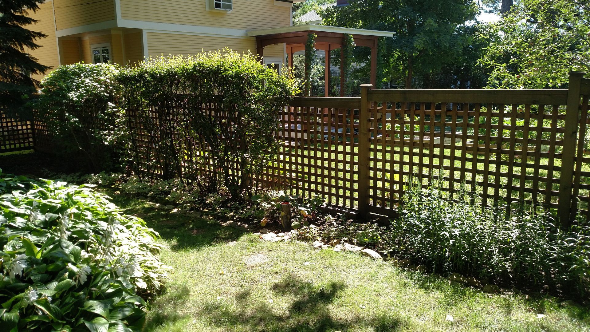 Sunny backyard with wooden lattice fence, lush greenery, and a small garden shed.