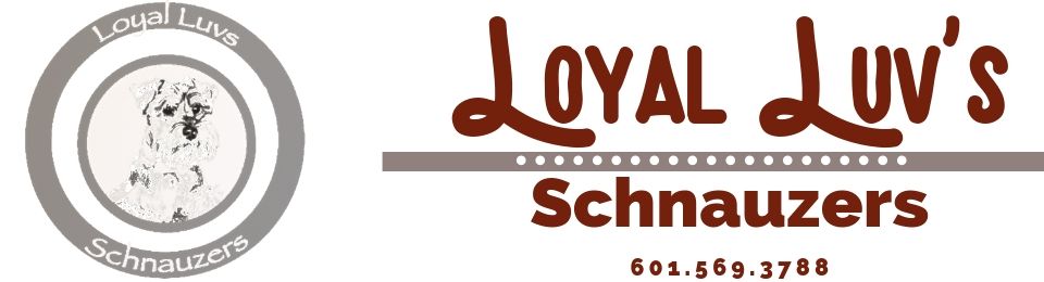 Logo for Loyal Luv's Schnauzers with circular dog emblem and brown text on a light background