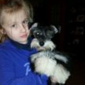 Child in a blue shirt holding a small black-and-white dog indoors